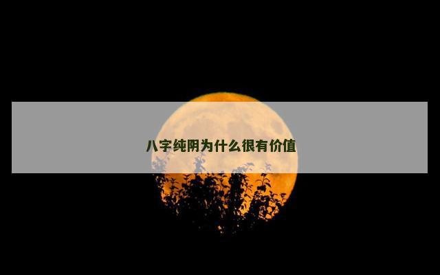 八字纯阴为什么很有价值