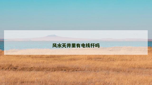 风水天井里有电线杆吗