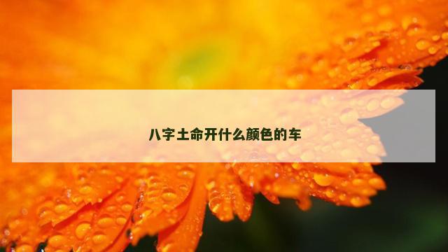 八字土命开什么颜色的车