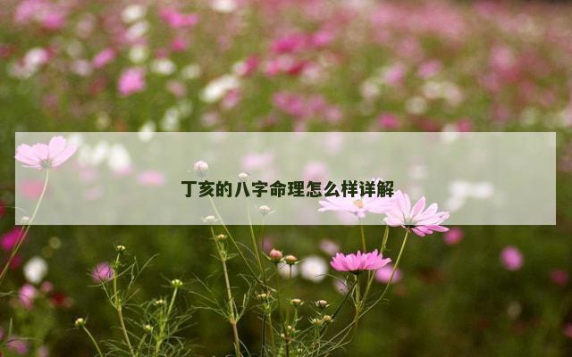 丁亥的八字命理怎么样详解