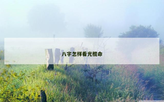 八字怎样看光棍命