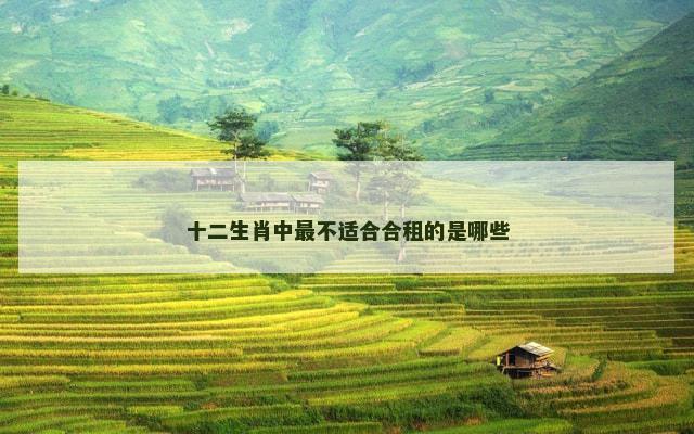 十二生肖中最不适合合租的是哪些