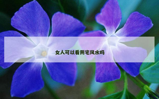 女人可以看阴宅风水吗