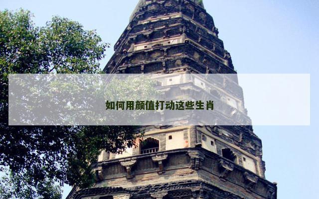 如何用颜值打动这些生肖