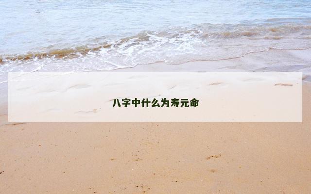 八字中什么为寿元命