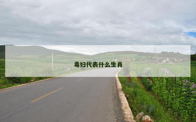 毒妇代表什么生肖