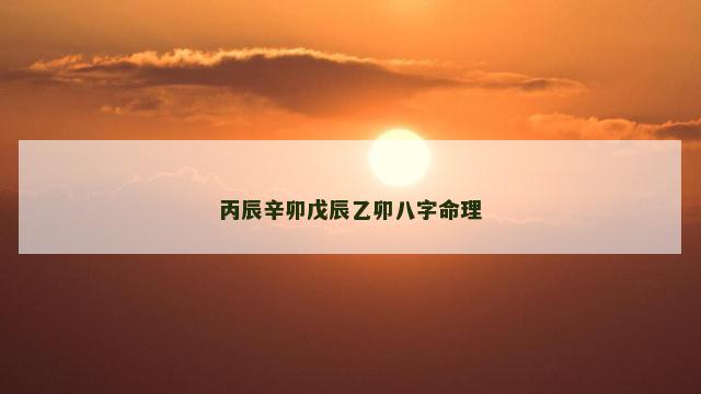 丙辰辛卯戊辰乙卯八字命理