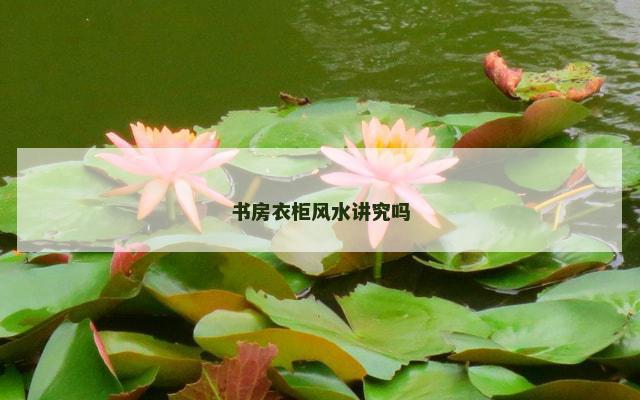 书房衣柜风水讲究吗