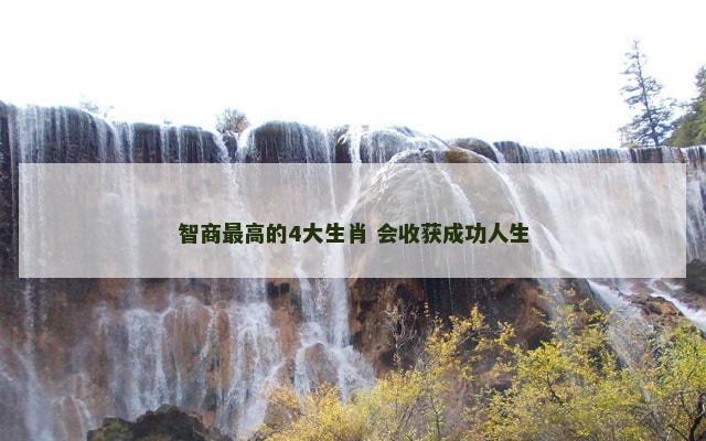 智商最高的4大生肖 会收获成功人生