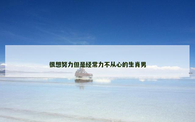 很想努力但是经常力不从心的生肖男