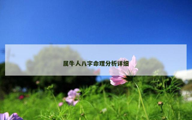 属牛人八字命理分析详细