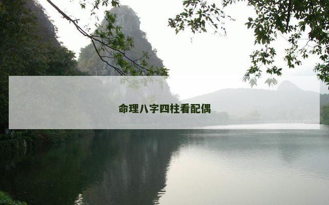 命理八字四柱看配偶