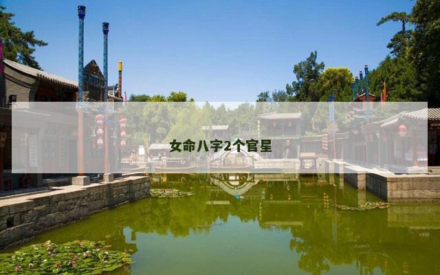 女命八字2个官星