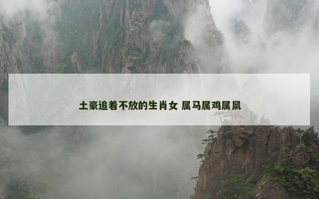 土豪追着不放的生肖女 属马属鸡属鼠