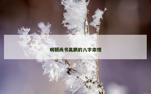明朝尚书吴鹏的八字命理