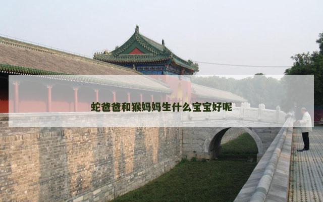 蛇爸爸和猴妈妈生什么宝宝好呢