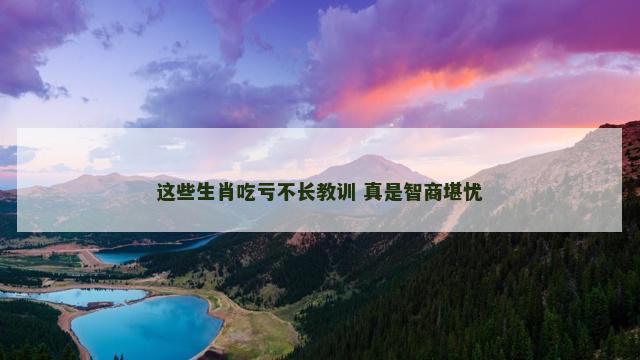 这些生肖吃亏不长教训 真是智商堪忧