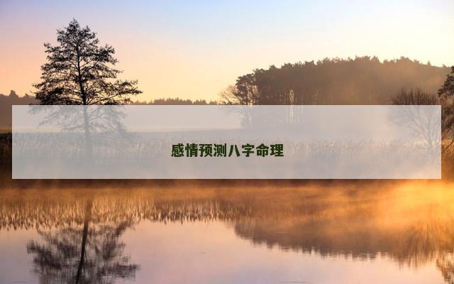 感情预测八字命理