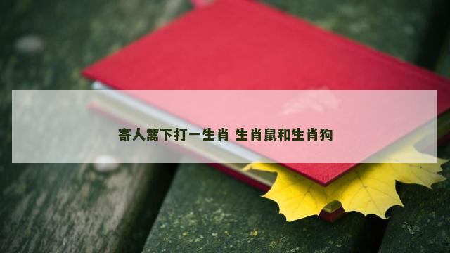 寄人篱下打一生肖 生肖鼠和生肖狗