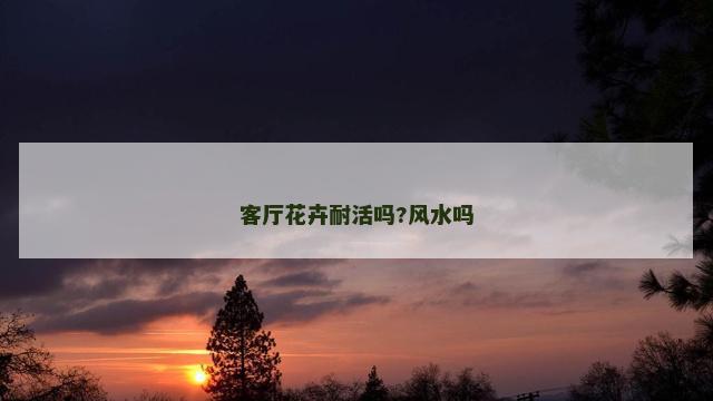 客厅花卉耐活吗?风水吗