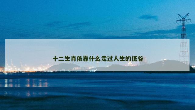 十二生肖依靠什么走过人生的低谷