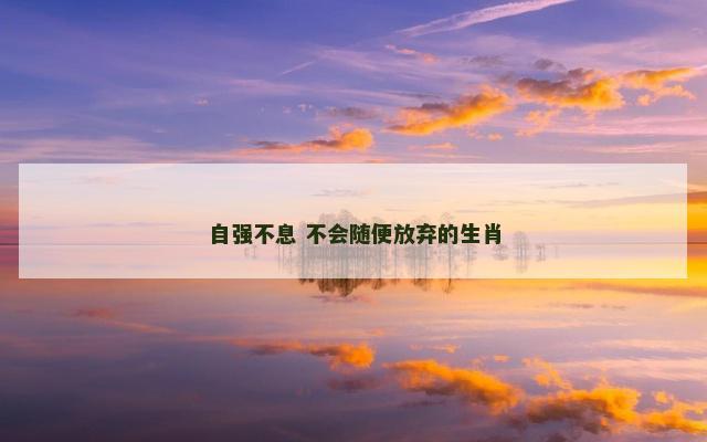 自强不息 不会随便放弃的生肖