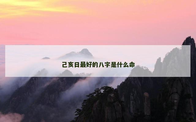 己亥日最好的八字是什么命