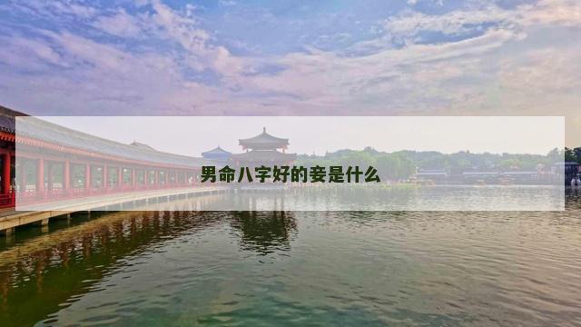 男命八字好的妾是什么