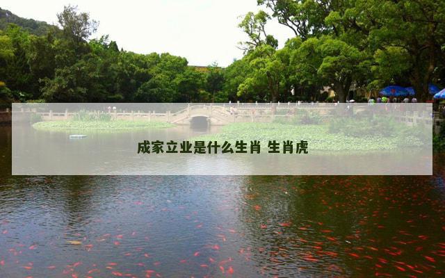 成家立业是什么生肖 生肖虎