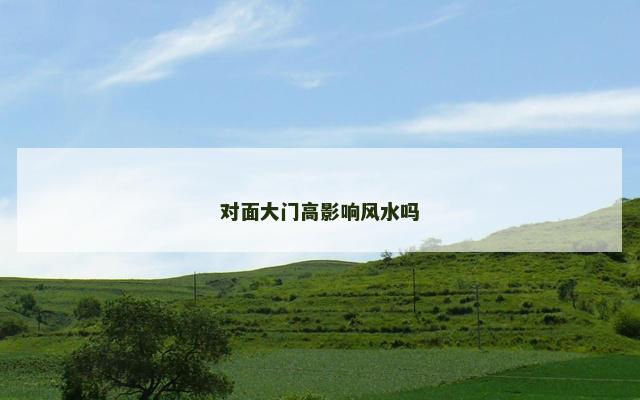 对面大门高影响风水吗