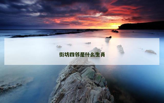 街坊四邻是什么生肖