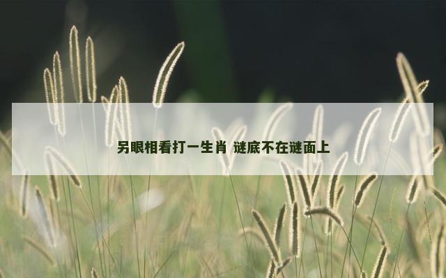 另眼相看打一生肖 谜底不在谜面上