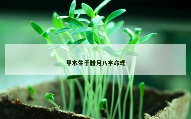 甲木生于腊月八字命理