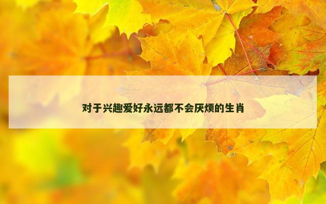 对于兴趣爱好永远都不会厌烦的生肖