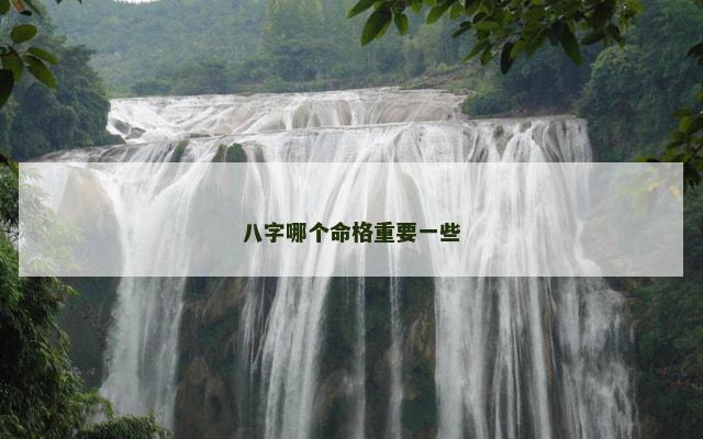 八字哪个命格重要一些