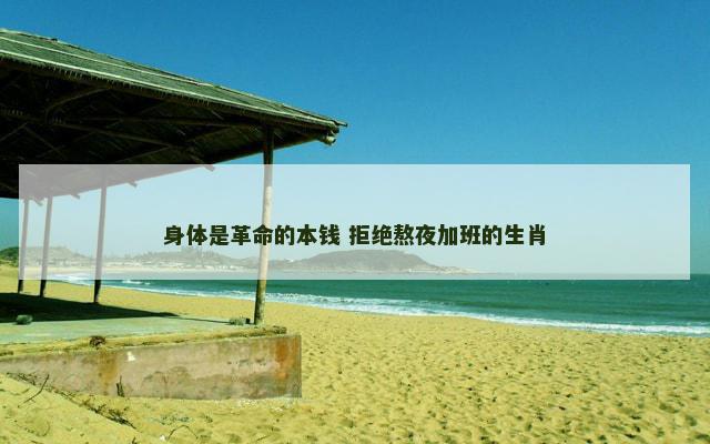 身体是革命的本钱 拒绝熬夜加班的生肖