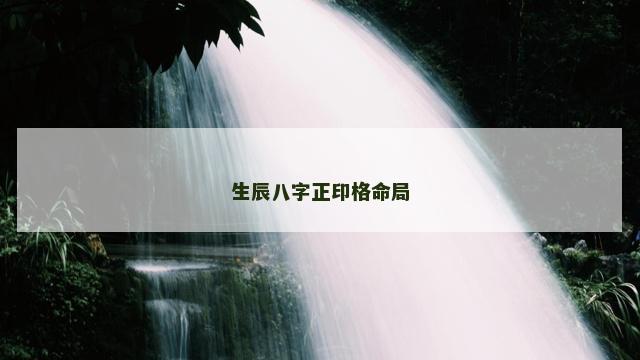 生辰八字正印格命局