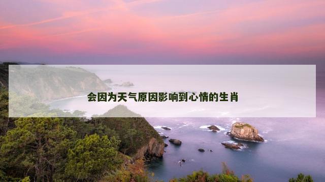 会因为天气原因影响到心情的生肖
