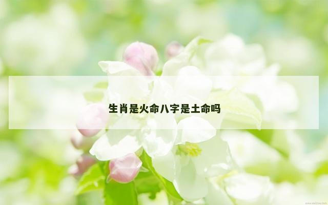 生肖是火命八字是土命吗