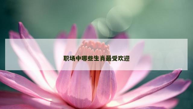 职场中哪些生肖最受欢迎