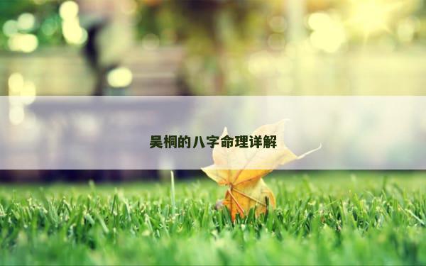 吴桐的八字命理详解