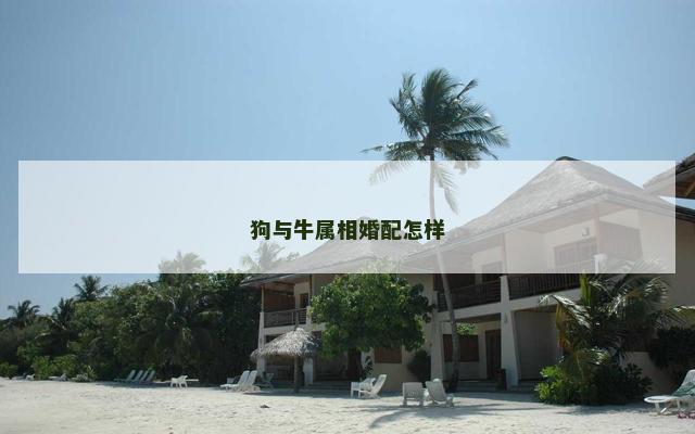 狗与牛属相婚配怎样 狗与牛属相婚配怎样