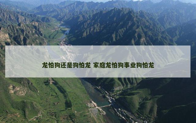 龙怕狗还是狗怕龙 家庭龙怕狗事业狗怕龙