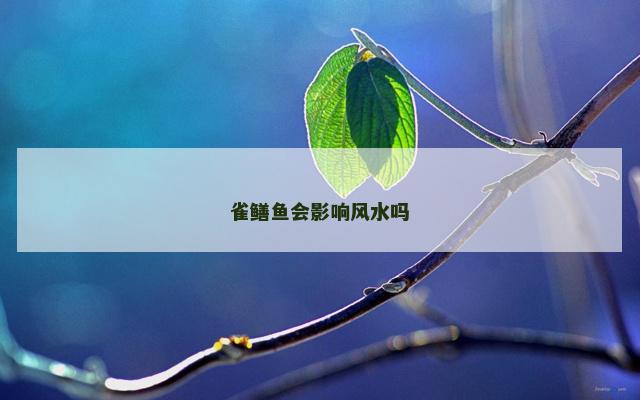 雀鳝鱼会影响风水吗