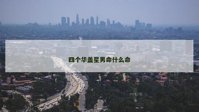 四个华盖星男命什么命