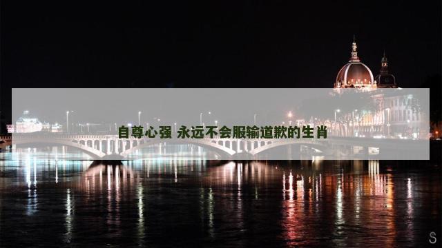 自尊心强 永远不会服输道歉的生肖