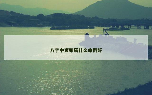 八字中寅卯属什么命例好