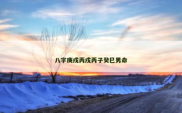 八字庚戌丙戌丙子癸巳男命