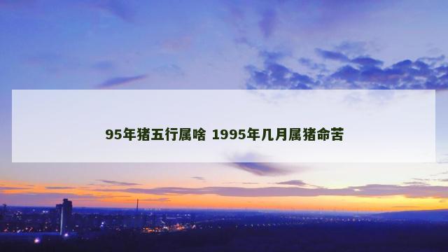 95年猪五行属啥 1995年几月属猪命苦
