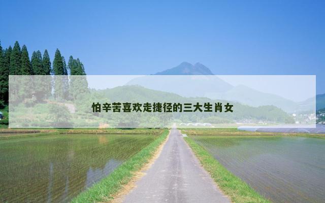 怕辛苦喜欢走捷径的三大生肖女